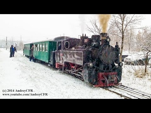 Mocănița Brad - Crișcior | Narrow Gauge Steam Train [Decembrie, 2014]