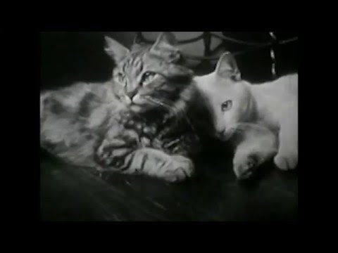 Exit-13 Featuring Bliss Blood - When I Get Low, I Get High