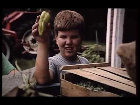 1990 Green Power Farm, Weston, MA