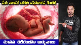 Miracles in human body | Unknown Facts | In Telugu | Vikram Aditya latest Videos | #EP295