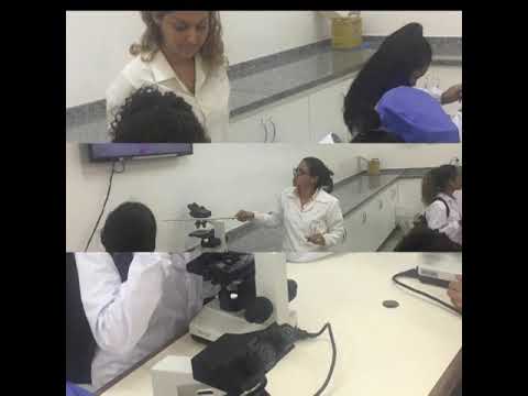 Visita da Escola Estadual SECITEC- CURSO técnico de análises quimica para o UNIVAG