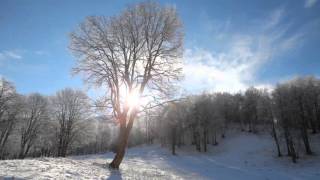 Jeff Danna & Mychael Danna - Lament