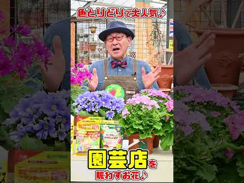 雪の中で咲く花は何ですか?美しい冬に咲く10種  庭園