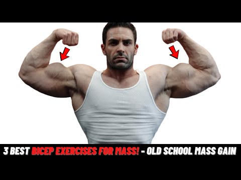 3 Best Bicep Exercises For Mass! - Old School Mass Gain