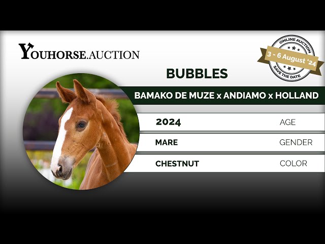 Bubbles