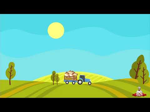 Video 5
