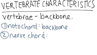 Vertebrate Characteristics