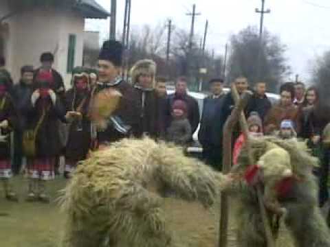 Copie a codrii neamtului in corhana