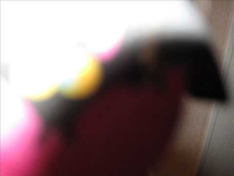 Video thumbnail for Hit the Lights