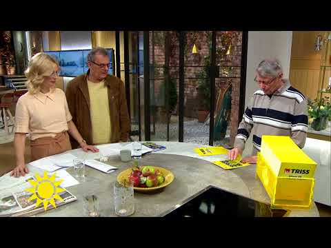 Trissvinsten går till specialintresset: "Wow!" - Nyhetsmorgon (TV4)