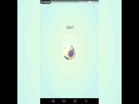 Pokémon Go - Hatching 9 x 10k Eggs Gen 2 hatch and more