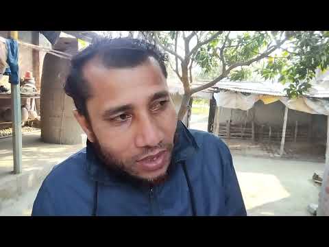 বদরগঞ্জের জাহাঙ্গীর ভাইয়ের কবুতরের খামার