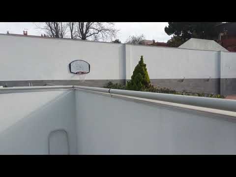 Innovador invento para evitar escape de gato