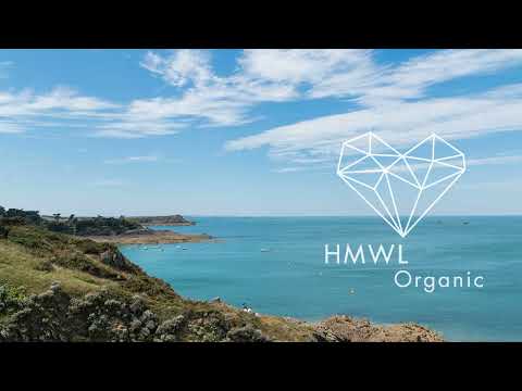 Patty Gurdy - Lora Lei Lo (I'll Fly For You) (Peter Makto Carnival Row Deep Touch) [Organic House]