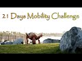 21 Days Mobility Challenge For Pain Free Body! (Pre-Workout Routine)