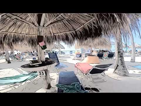 Pao Calderon - Baby Needs a Home (Official Video)