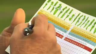 How to Mark Your Golf Scorecard