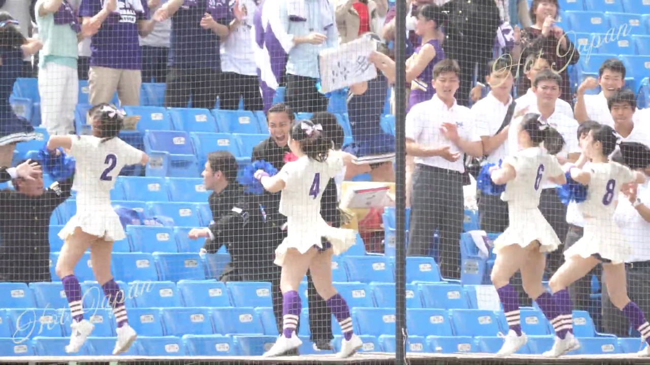 2019六大学野球チア③　明治慶応戦②　慶応に負けないように明治の応援チアリーダーさんたちの渾身の応援！！