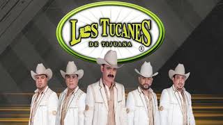 Los Tucanes de Tijuana -- El Hummer