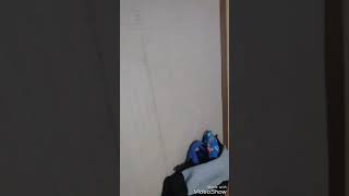 轟快ジョラゴンＧＯＦight