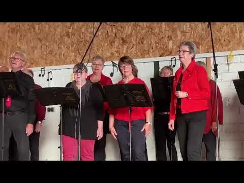 „Sailing“ von Rod Steward | Konzert 02.07.2022