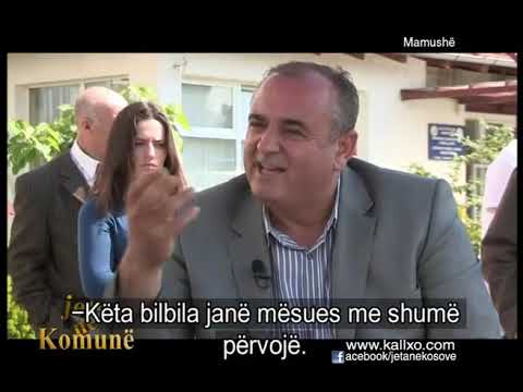 Jeta në Komunë - Mamushe, 2012