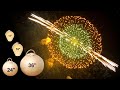 World S Biggest Firework Shells 12 16 24 36 Part 1