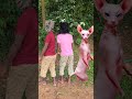 This Cat Just Joined Our Dance Party! 😹💃🕺
