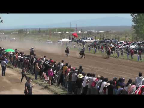 CHE TUNITA  Club Hipico Cipriano Catriel   Catriel  23-10-2022