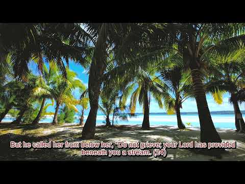 Meditation With Quran - Abdel Baset - Surah Maryam 16:23