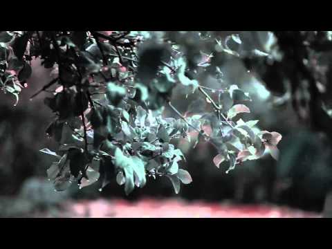 WATCH WHAT ABOUT LOVE ONLINE HD FREE