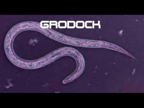 grodock - schienen.wmv