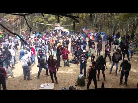 DEMONIAC INSOMNIAC 24 HOURS LIVE SET !! MEXICO