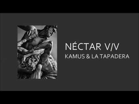 KAMUS & LA TAPADERA - 5. ANCIENT