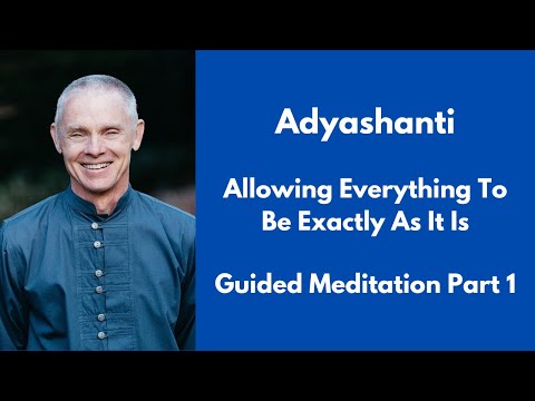 Allowing Everything To Be Exactly As It Is - Guided Meditation - Part 1 - Adyashanti