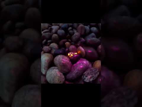 Yooperlites hunting on Lake Superior. Convoy C8 available at www.yooperlites.com