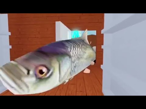 Killer fish from San Diego