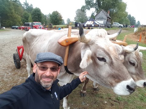Waters Farm Days in Sutton, MA