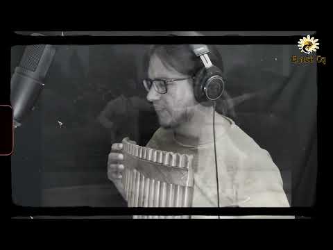 FLY ME TO THE MOON - Frank Sinatra - cover Panflute - Ernst Cq