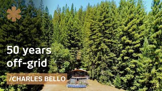 50 years off-grid: architect-maker paradise amid NorCal redwoods