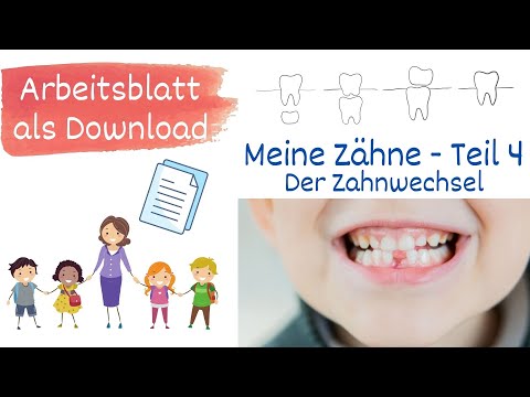 Meine Zähne Teil 4 - Der Zahnwechsel. Warum wackelt mein Zahn? Sachunterricht Grundschule - mit AB