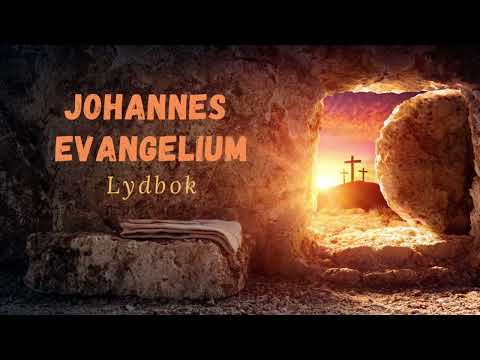 Johannes evangelium/ Lydbok/ Bibelen Guds ord uten musikk