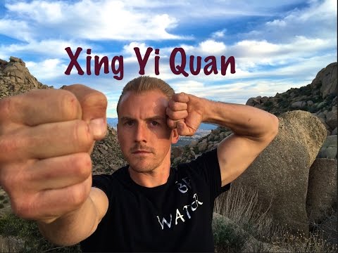 Xing Yi Quan for Beginners