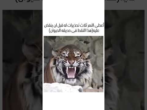 #shotrs لقد أعطاه تحذيرات لكنه لم ياخذه على محمل الجد