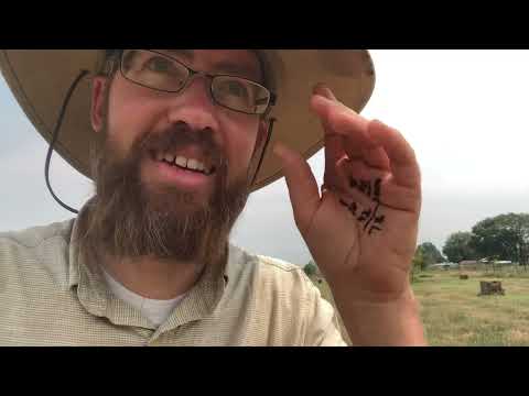 We just cut $100's worth of grass hay on our tiny farm!