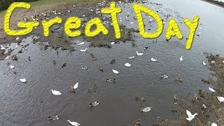 Coast Is Clear… #158 Ducks For The Homeless