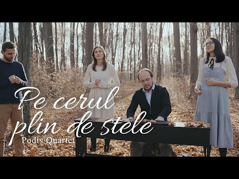 Pe cerul plin de stele - Podiș Quartet 4K | Muzica ProiectM