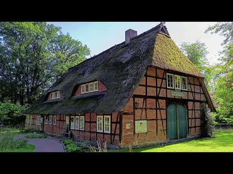 Heidschnuckenweg Etappe 4, von Undeloh über Totengrund nach Niederhaverbeck; 4K