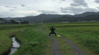 【ゼンゼロ】デイリー終わってるからZATSUDANメインでふらふらっとやるだけ
