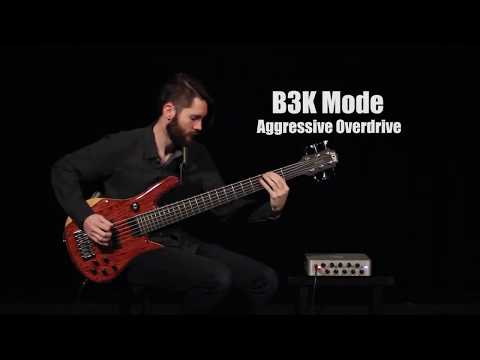 Darkglass Electronics Microtubes 900 Demo